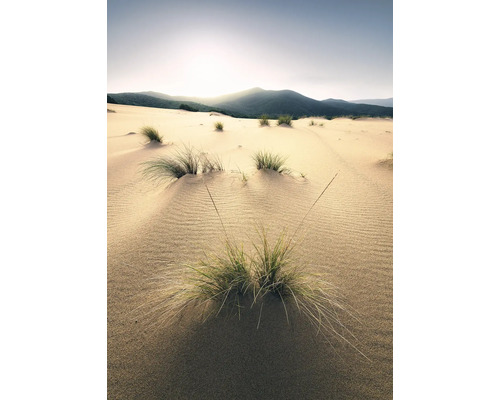 Sanddünen mit Gras und Bergen im Hintergrund