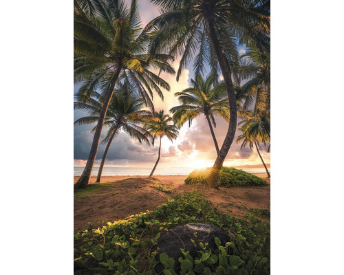 Papier peint panoramique intissé SHX4-090 Vertical Paradise 4 pces 200 x 280 cm Scène avec des palmiers sur la plage au coucher du soleil