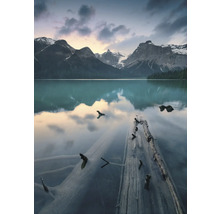 Lac de montagne avec des troncs d'arbres dans l'eau et un paysage montagneux