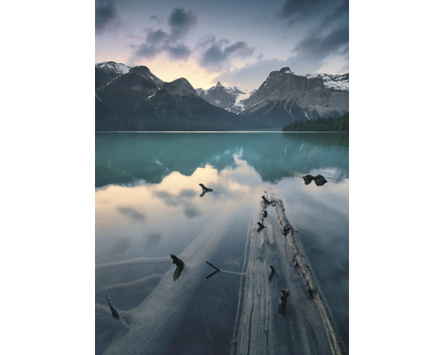 Papier peint panoramique intissé SHX4-012 Burning Emerald 4 pces 200 x 280 cm Lac de montagne avec des troncs d'arbres dans l'eau et un paysage montagneux