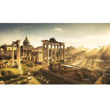 Vue du Forum Romain avec ruines et colonnes