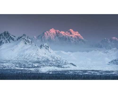 Paysage avec montagnes enneigées et forêt de sapins au premier plan