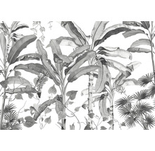 Illustration de plantes tropicales comme décoration murale