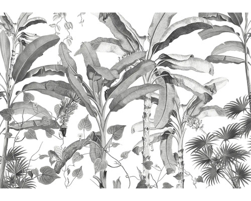 Papier peint panoramique intissé INX8-082 Ink Croissances Monochrome 8 pcs. 400 x 280 cm Illustration de plantes tropicales comme décoration murale