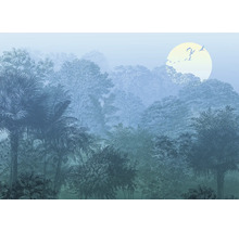 Papier peint intissé avec motif de forêt et lever de soleil