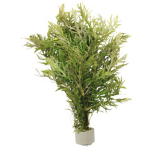 Plante artificielle en pot