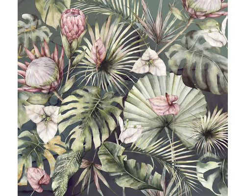 Illustration de diverses plantes tropicales