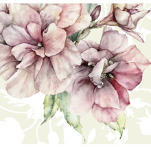 Illustration avec des fleurs roses