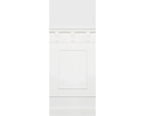 Panneau mural avec cadre et moulures décoratives