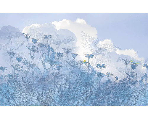 Illustration avec des plantes, des fleurs et des oiseaux sur fond de ciel nuageux