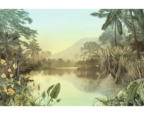 Paysage tropical avec lac et végétation dense