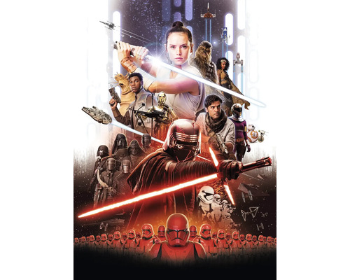 Papier peint panoramique papier 4-4113 Disney Edition 4 Star Wars EP9 Movie Poster Rey 4 pces 184 x 254 cm Affiche avec des personnages de Star Wars : L'Ascension de Skywalker
