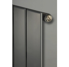 Heizkörper mit Thermostatventil