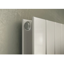 Detailansicht eines Heizkörpers mit Befestigungsschraube