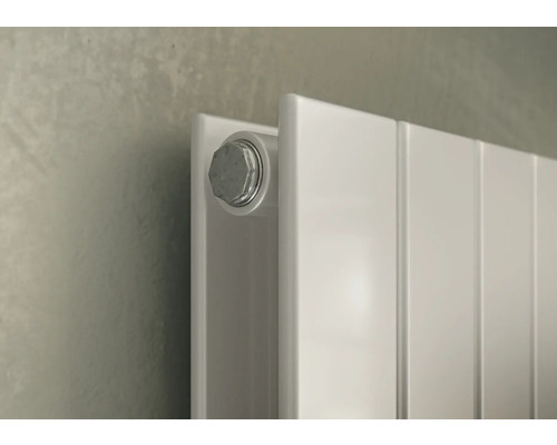 Detailansicht eines Heizkörpers mit Befestigungsschraube