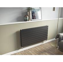 Wohnraum mit horizontalem Designheizkörper an der Wand montiert