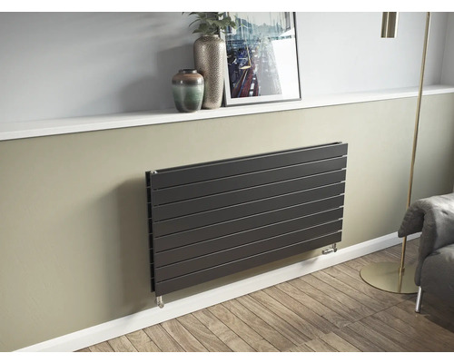 Wohnraum mit horizontalem Designheizkörper an der Wand montiert