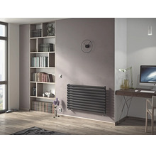 Wohnraum mit Heizkörper, Bücherregal und Schreibtisch