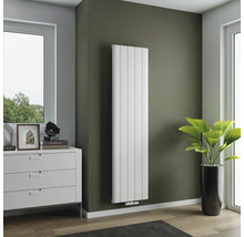 Vue d'une pièce avec radiateur vertical sur un mur, commode et plante d'intérieur