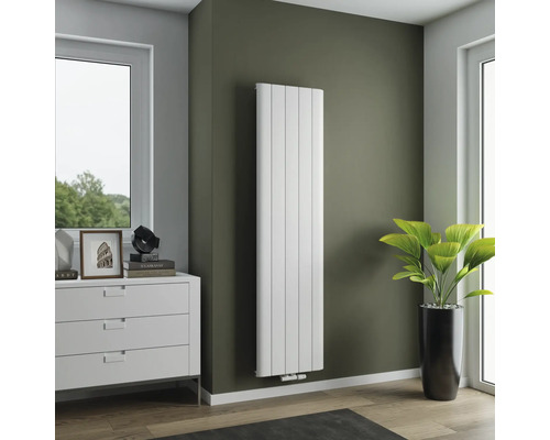 Vue d'une pièce avec radiateur vertical sur un mur, commode et plante d'intérieur