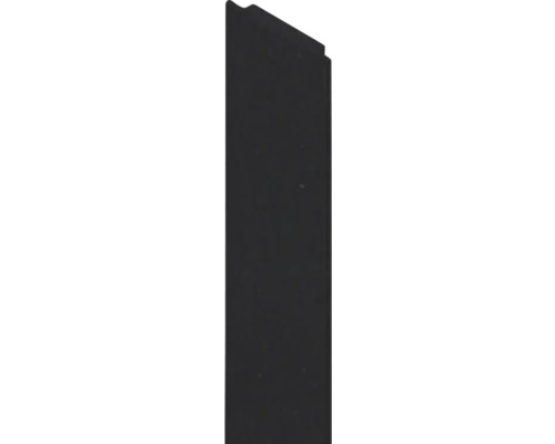Dünne schwarze Fassadenplatte