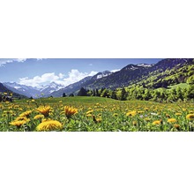 Paysage avec prairie, pissenlits et montagnes