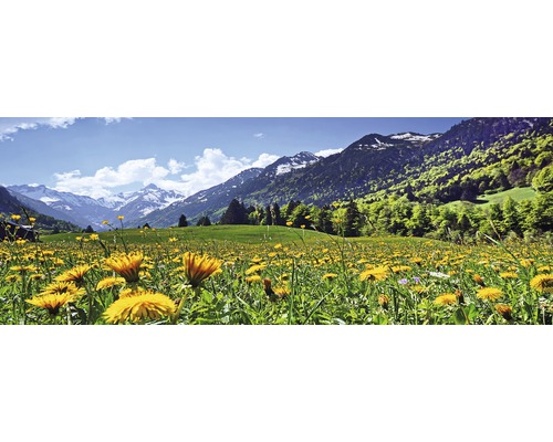 Paysage avec prairie, pissenlits et montagnes
