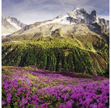 Paysage de montagne avec des rhododendrons en fleurs au premier plan