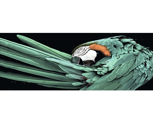 Tableau en verre Green Parrot 30x80cm