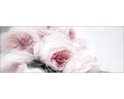 Tableau en verre Pink roses 30x80cm
