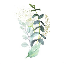Aquarellmalerei von Eukalyptus und Blättern