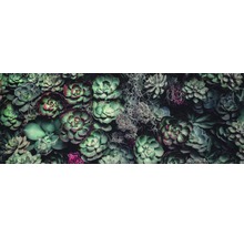 Tableau en verre Strange Flowers 30x80cm