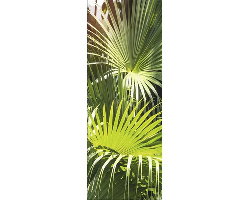 Tableau en verre Palm leaves 30x80cm