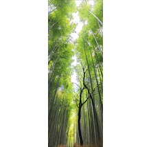 Vue vers le haut dans une forêt de bambous