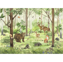 Illustration d'une forêt avec différents animaux