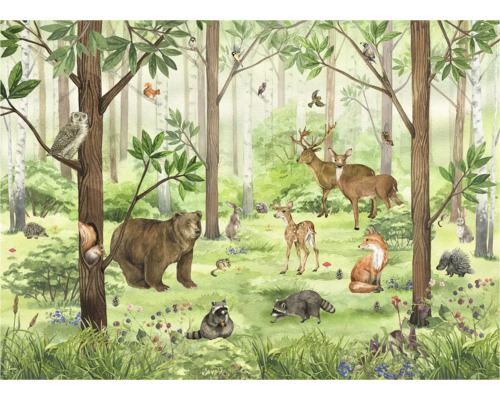 Illustration d'une forêt avec différents animaux