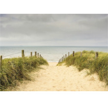 Un chemin de sable mène à la mer, bordé de dunes et de poteaux en bois avec des câbles en acier.