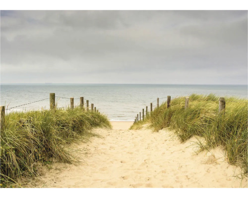 Un chemin de sable mène à la mer, bordé de dunes et de poteaux en bois avec des câbles en acier.