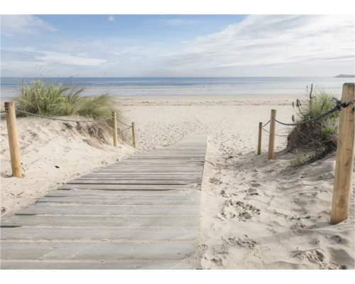Une passerelle en bois mène à la plage avec des dunes de sable et la mer