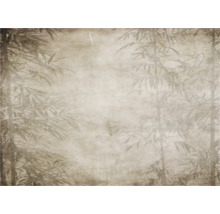 Papier peint avec motif de bambou