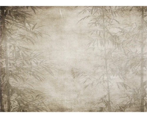 Papier peint avec motif de bambou