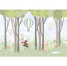 Illustration d'une scène de forêt avec un ours à vélo, des montgolfières et des cerfs