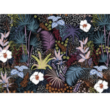 Illustration avec diverses plantes tropicales