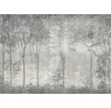Papier peint photo décoratif avec motif de forêt pour la décoration murale