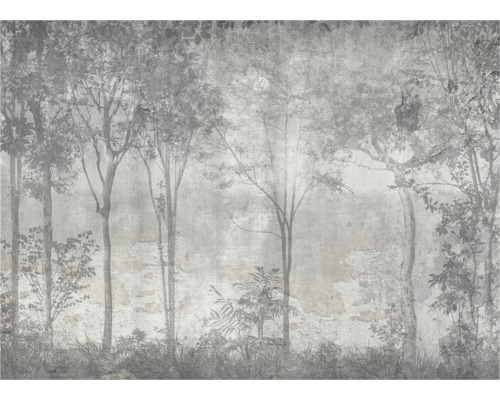 Papier peint photo décoratif avec motif de forêt pour la décoration murale