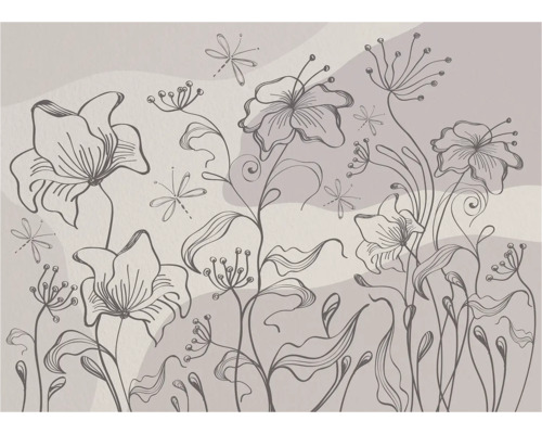 Illustration de fleurs et de libellules