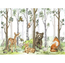 Animaux de la forêt et bouleaux dans une scène de forêt comme papier peint