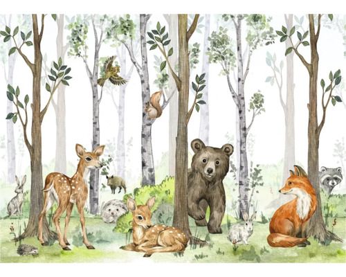 Animaux de la forêt et bouleaux dans une scène de forêt comme papier peint