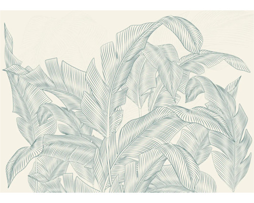 Illustration de motif de feuille de bananier pour la décoration murale