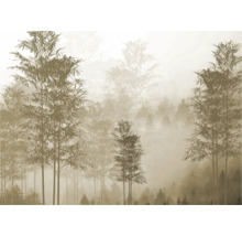 Papier peint avec motif de forêt dans le brouillard